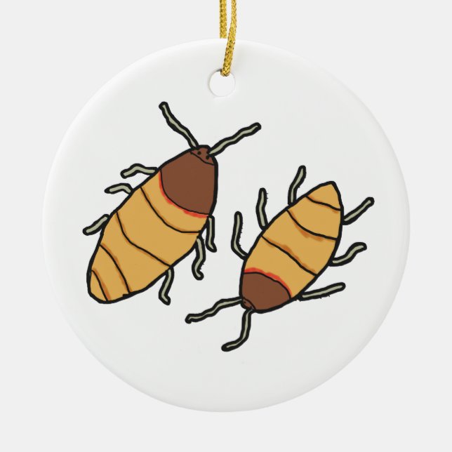 Hissing Cockroach Ceramic Ornament (Front)