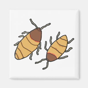 Hissing Cockroach Magnet