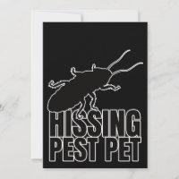 Hissing Cockroaches Cockroach Roach Hisser