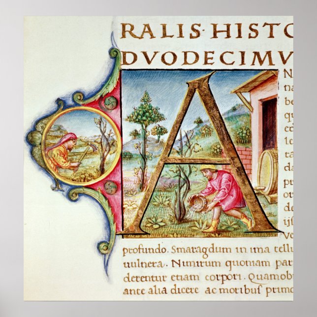 Historiated initial 'A' depicting Poster (Front)
