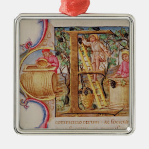 Historiated initial 'E' depicting grape picking Metal Tree Decoration