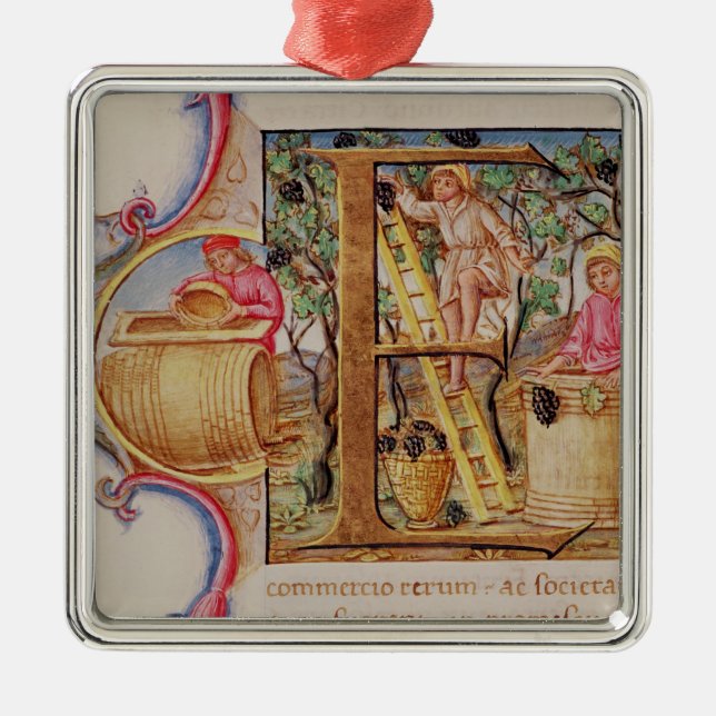 Historiated initial 'E' depicting grape picking Metal Tree Decoration (Front)