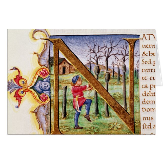 Historiated Initial 'N' (Front Horizontal)