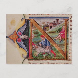 Historiated initial 'N' depicting sheep Postcard
