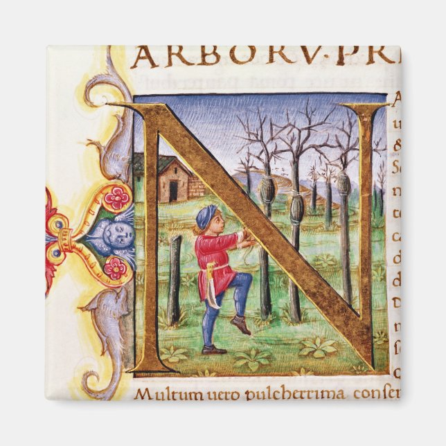 Historiated Initial 'N' Magnet (Front)