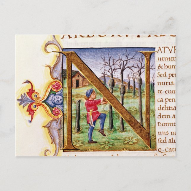 Historiated Initial 'N' Postcard (Front)