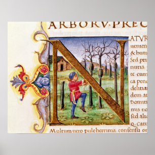 Historiated Initial 'N' Poster