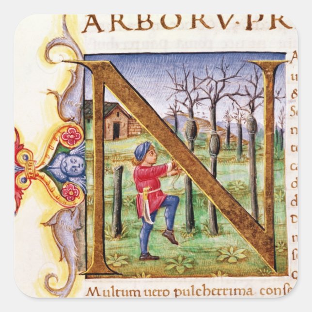 Historiated Initial 'N' Square Sticker (Front)