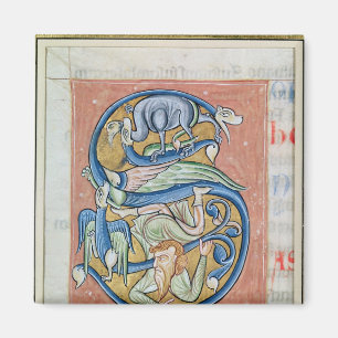 Historiated initial 'S' depicting an acrobat Magnet