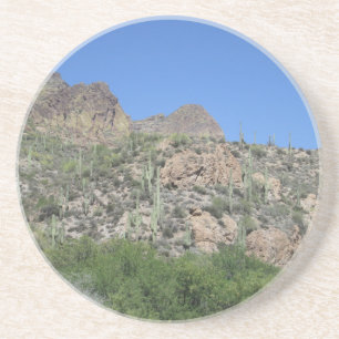 Historic Apache Trail Coaster