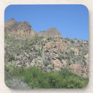 Historic Apache Trail Coaster