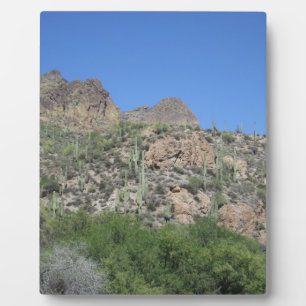 Historic Apache Trail Plaque
