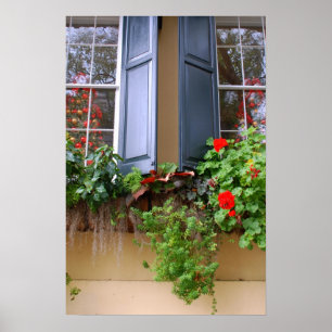 Historic Charleston Window Box Poster