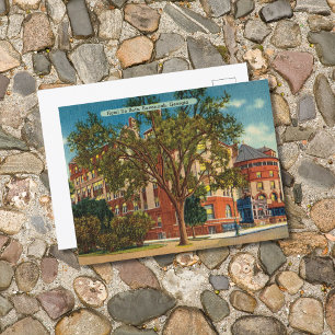 Historic DeSoto Hotel Savannah GA Postcard
