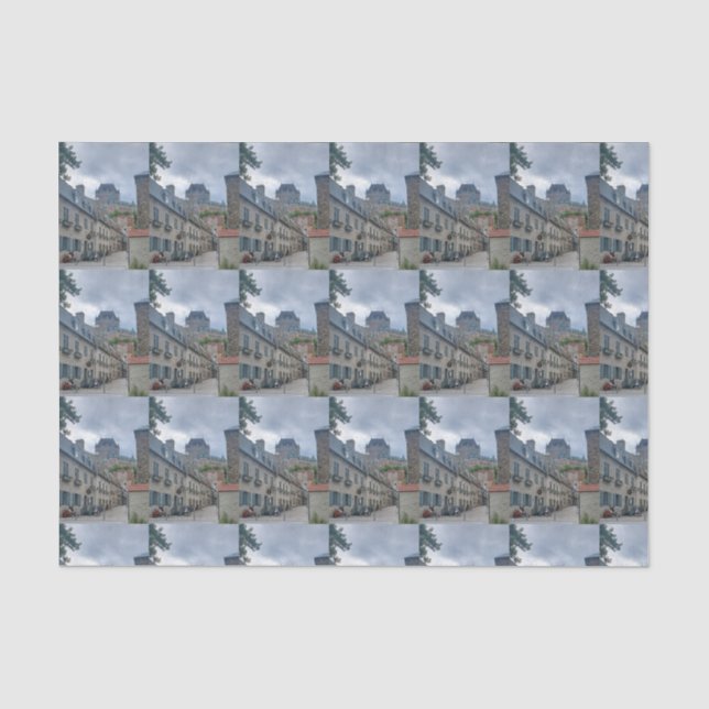 Historic district in Quebec City              Tissue Paper (Front)