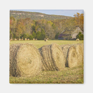 Historic farm in the Buffalo National River, Magnet
