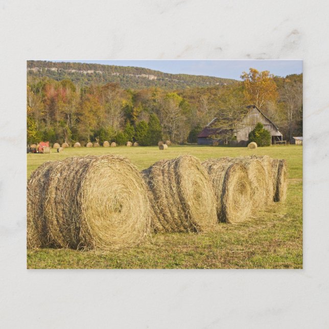 Historic farm in the Buffalo National River, Postcard (Front)