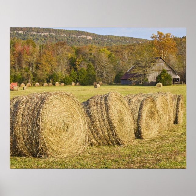 Historic farm in the Buffalo National River, Poster (Front)