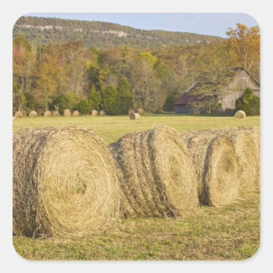 Historic farm in the Buffalo National River, Square Sticker