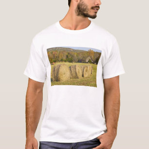 Historic farm in the Buffalo National River, T-Shirt