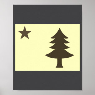 Historic Flag Of Maine 1901 1909 Poster