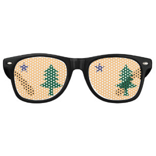 Historic Flag of Maine (1901–1909) Retro Sunglasses