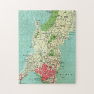 Historic Map of India Jigsaw Puzzle