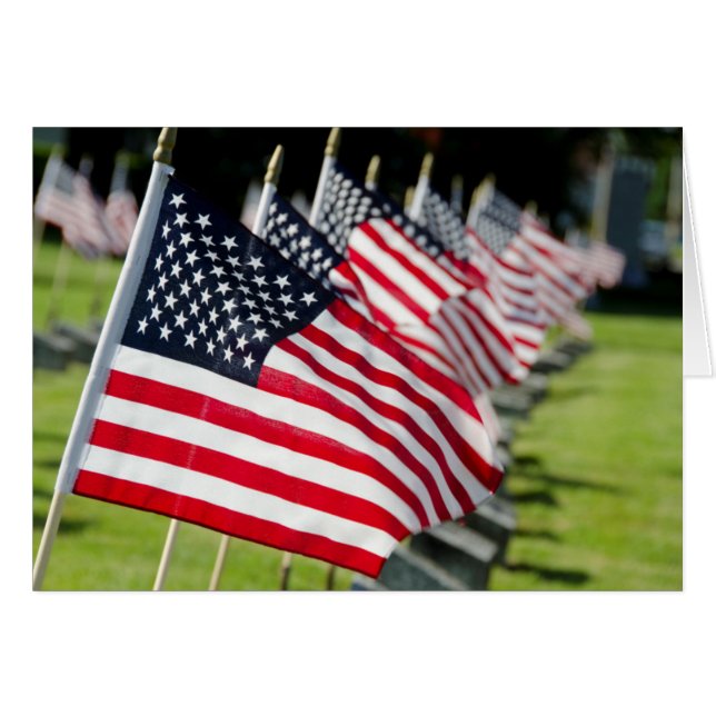 Historic military cemetery with US flags (Front Horizontal)