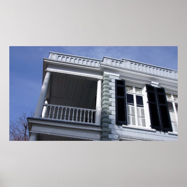 Historic Perspective Charleston, SC Poster (Front)