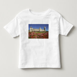 Historic Railway Station, Dunedin, New Zealand Toddler T-Shirt