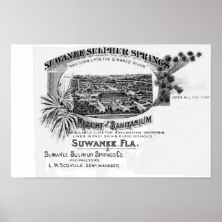 Historic Suwannee Springs, Florida suwannee river, Poster