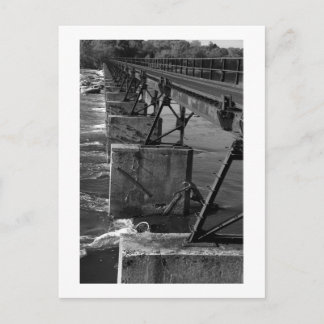 Historical Crossing Postcard