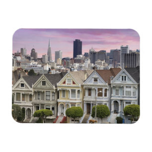 Historical Houses and San Francisco City Magnet
