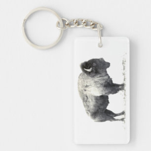 Historical Photograph of American Bison Key Ring
