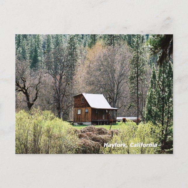 Historical Potato Creek Log Cabin...... Postcard (Front)