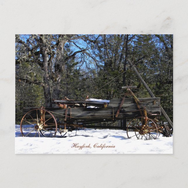 Historical Six Spring Wagon....... Postcard (Front)