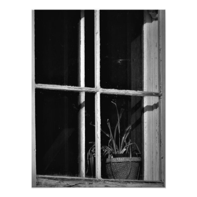 "History Absorbed" Photo Print (Front)