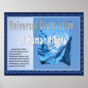 History, HUman rights, Declaration Poster
