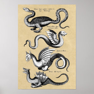 History of Dragons Wall Chart