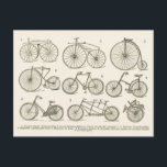 History of French bicycles, published in 1920 Postcard<br><div class="desc">History of French bicycles,  published in 1920</div>