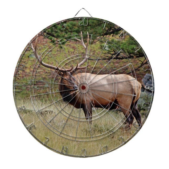 HIT THE Elk Dart Board (Front)