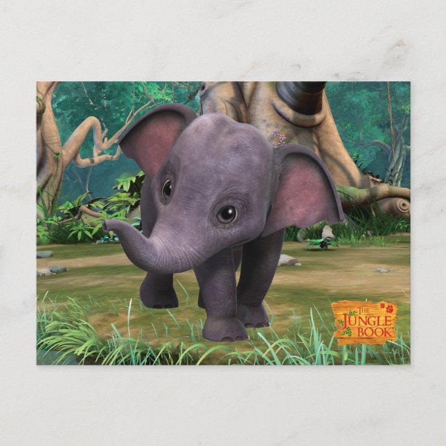 Hita Postcard (Front)