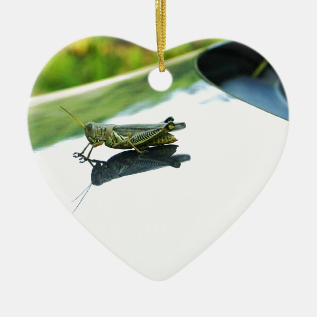 hitch hiking grasshopper ceramic ornament (Front)