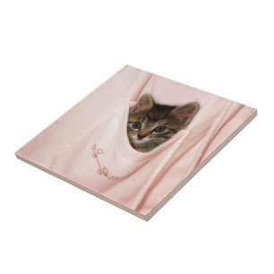 Hitchhiking Ceramic Tile