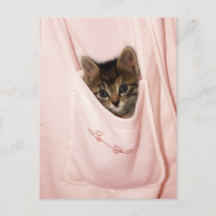 Hitchhiking Postcard