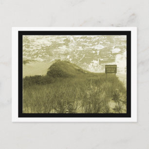 Hither Hills, Montauk  Postcard