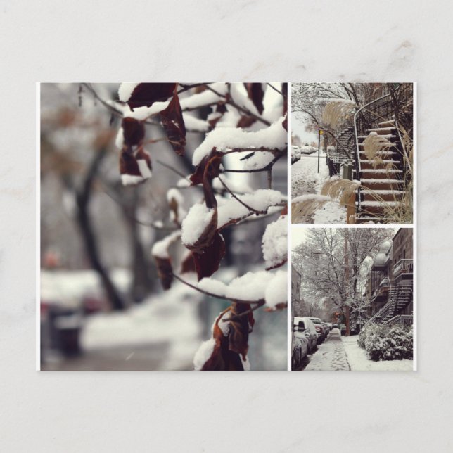 Hiver Postcard (Front)