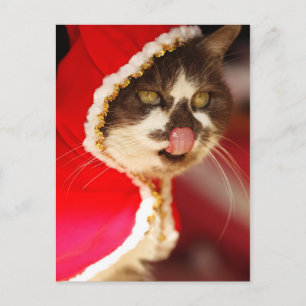 Hmm - Yummy Christmas Treats Holiday Postcard