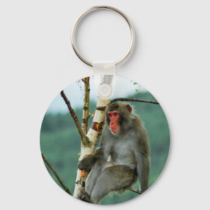 Hmmmm, I wonder Key Ring