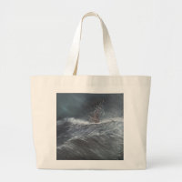 HMS Beagle in a storm off Cape Horn